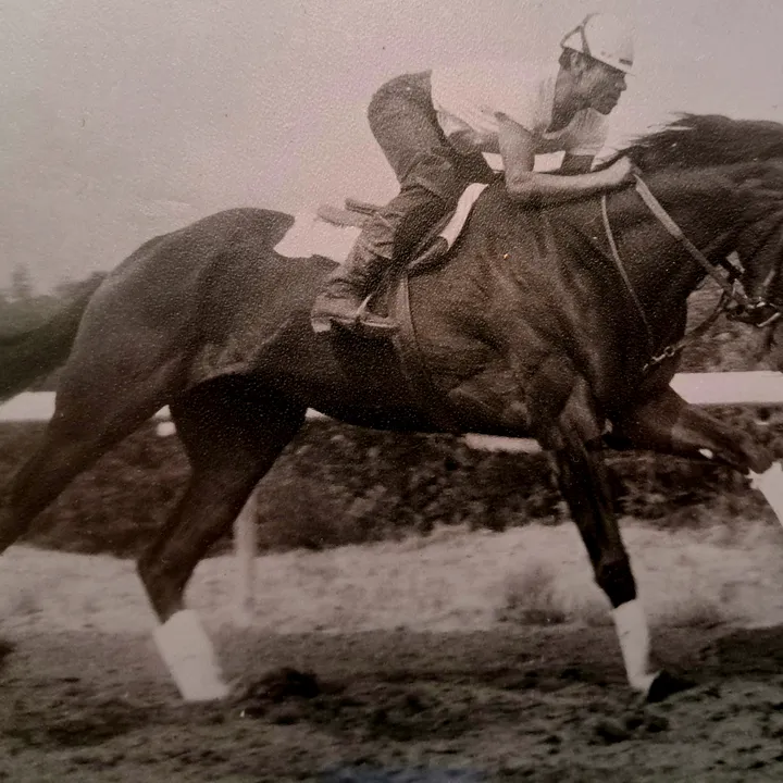 horseracing100