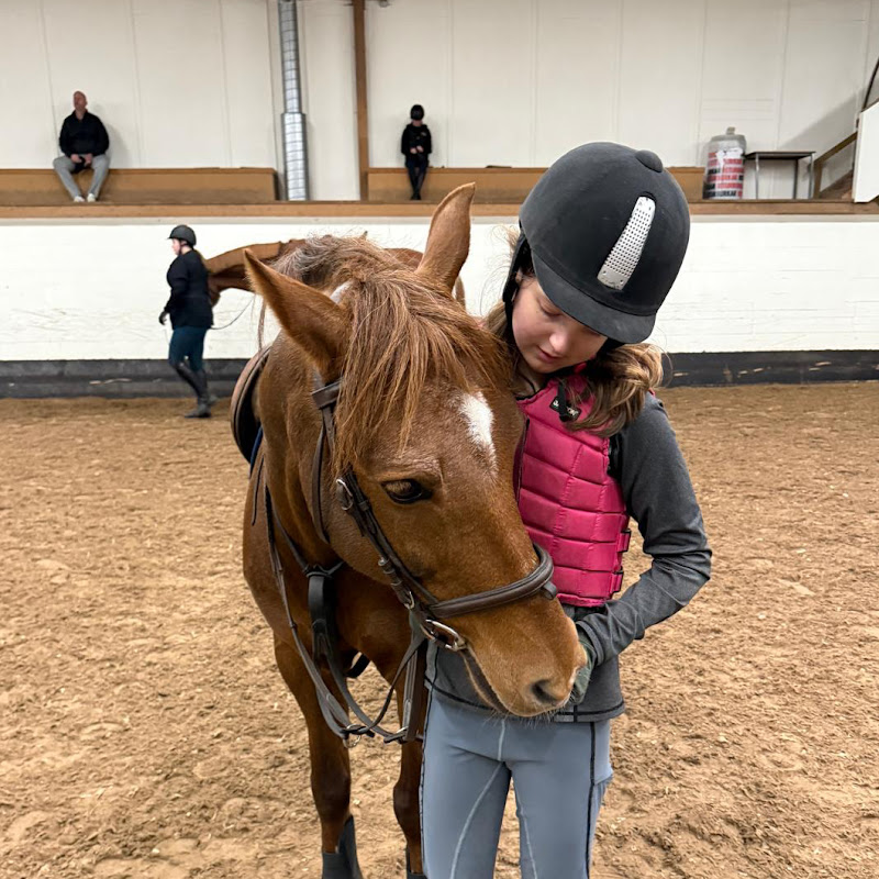The_horse_and_gtag_girl_lover
