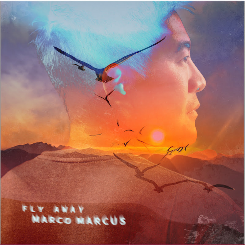 Marco Marcus