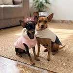 Thor  & Zoe 🐾 💗