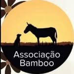 Algarve animal shelter