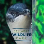 Ballarat Wildlife Park