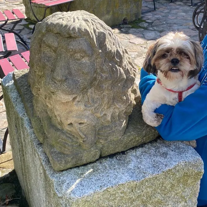 🤍🫧SparrowRefashion🫧🤍