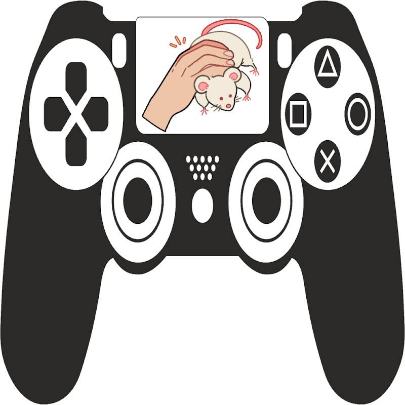 Anim's Gaming Mouse