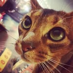 𝕄𝔸ℝ𝕋𝕀ℕ 𝕂𝕆𝕋𝕆𝕍𝕊𝕂𝕐