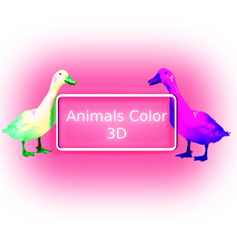 Animals Color 3D