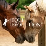 Equi Evolution
