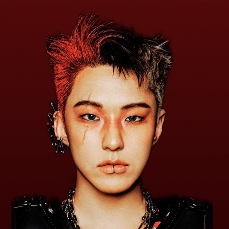 Kpop Stan