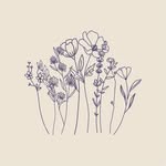 The Wilde Story | unique cafe on a lavender farm