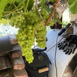 hobby_grill_und_garten
