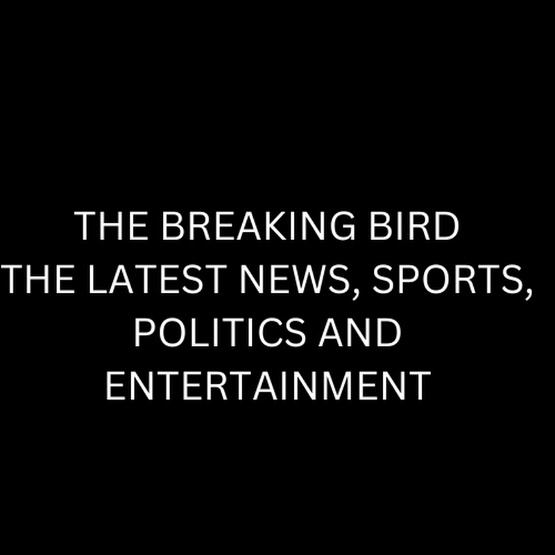 The breaking bird