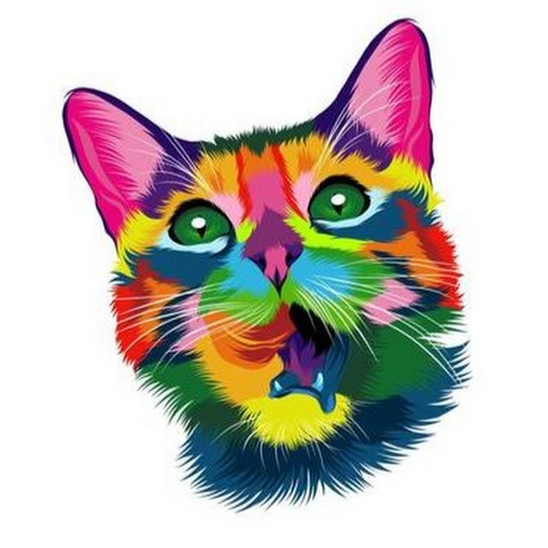 CAT ASMR