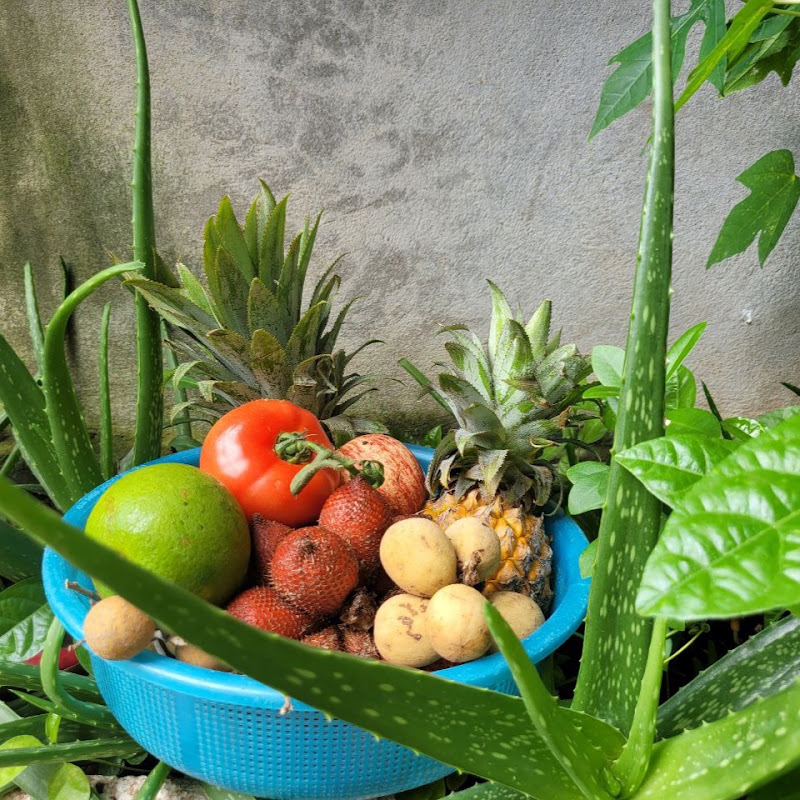 Fruit today