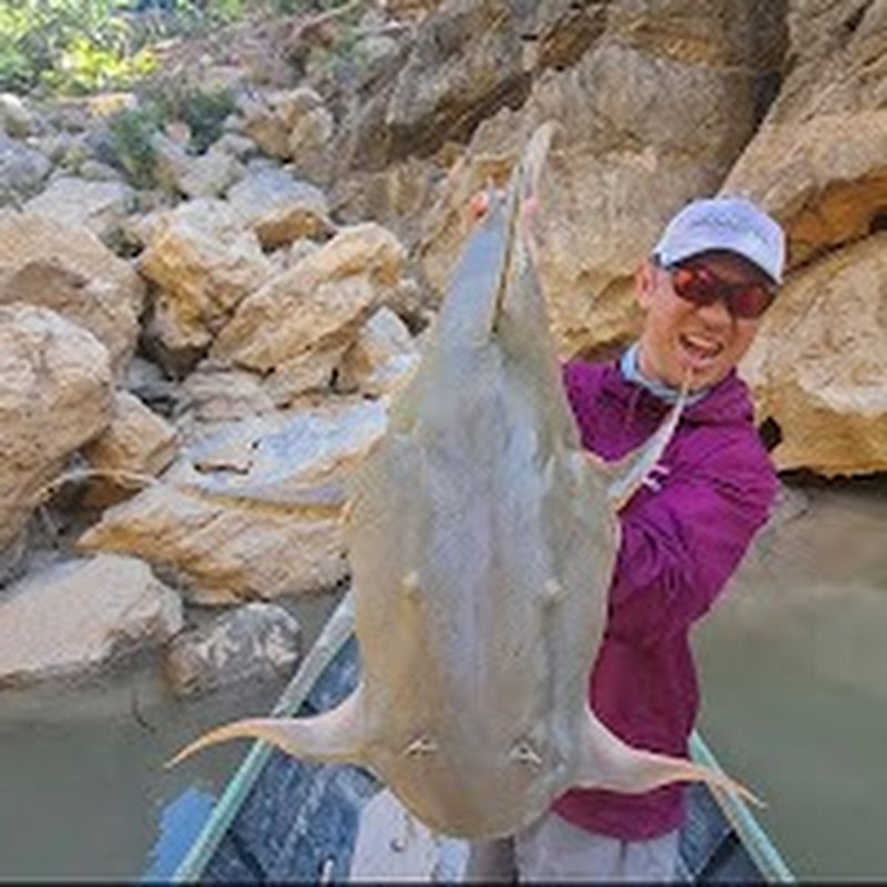 BkkFishingTour BKKGUY