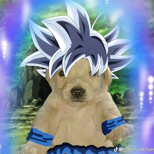 El perro saijayin