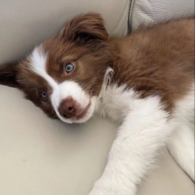 💋𝒬𝒰ℰℰ𝒩 🐾