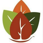 Cultivos Catalpa