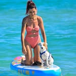RIO & CRYSTINA | JackRussell Dogmom