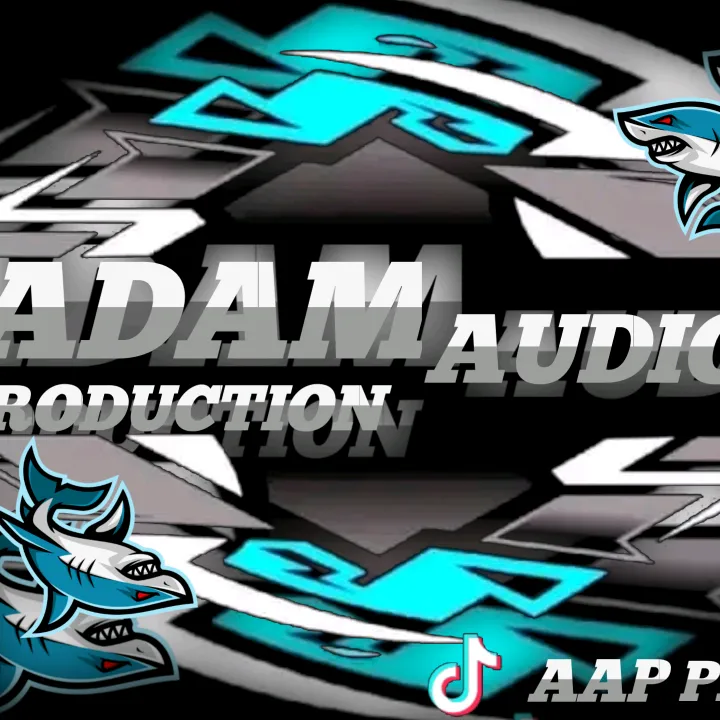 AAP PROJECT