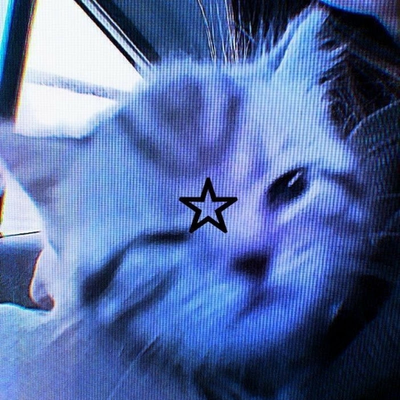 🌟hurikuth_purin🌟