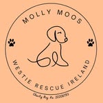Molly Moos Westie Rescue