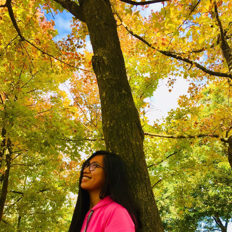 Joy Wanders