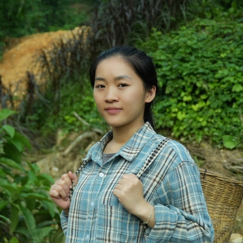 Lý Tiểu Hely
