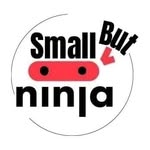 Small But Ninja