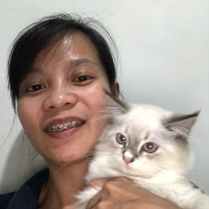 YanneyPetFinds