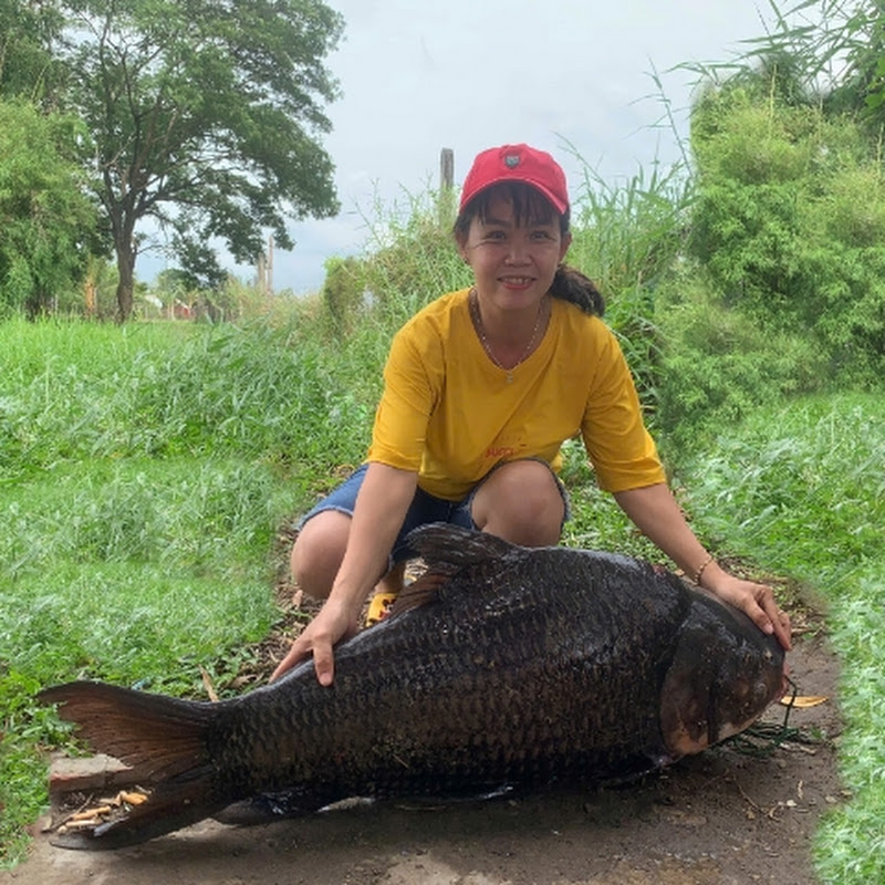 Dã Ngoại Cùng Lan