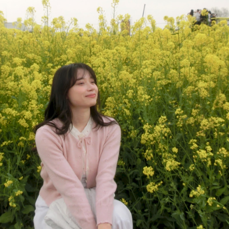 diary of thao