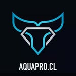 Aquapro Chile Iternational Surfing and Diving Company