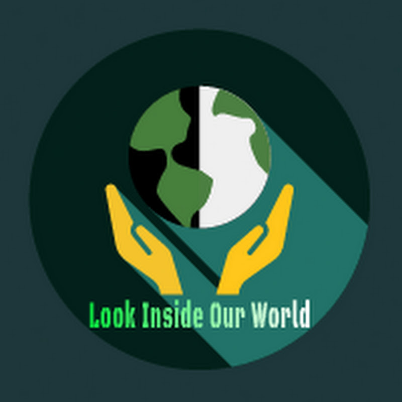 Look Inside Our 🌍