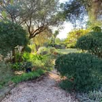 Sparoza garden