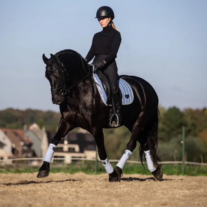 Phoebe Tack Dressage