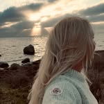 Mi 🇸🇪