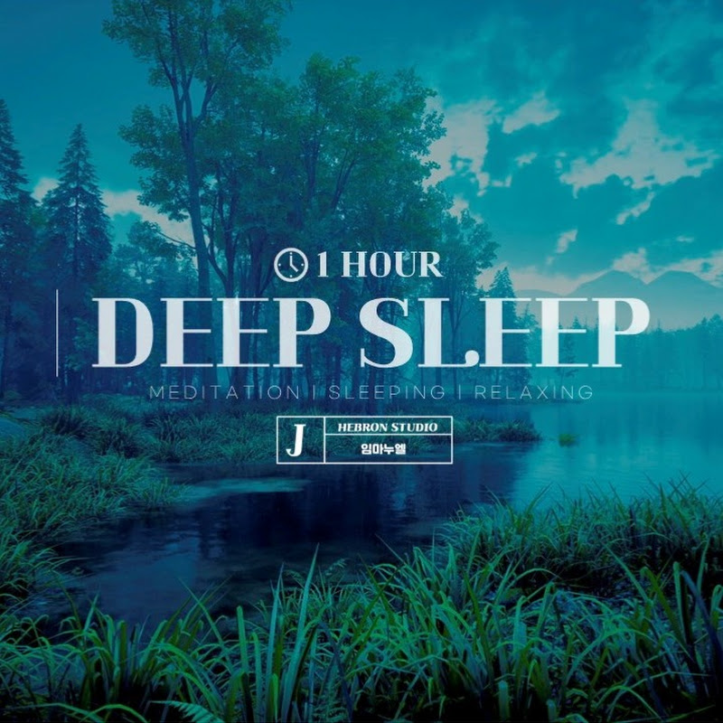 Rainy Forest Hymn