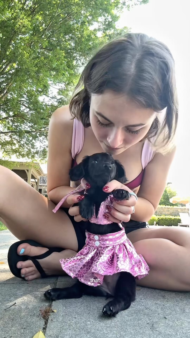 ana matei