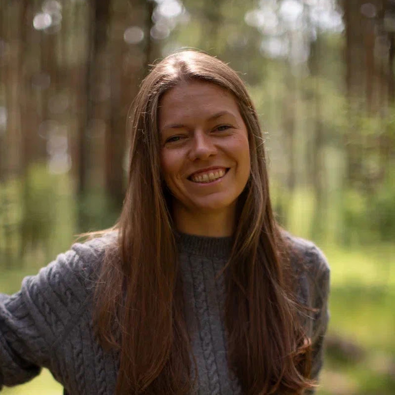 Little French garden 