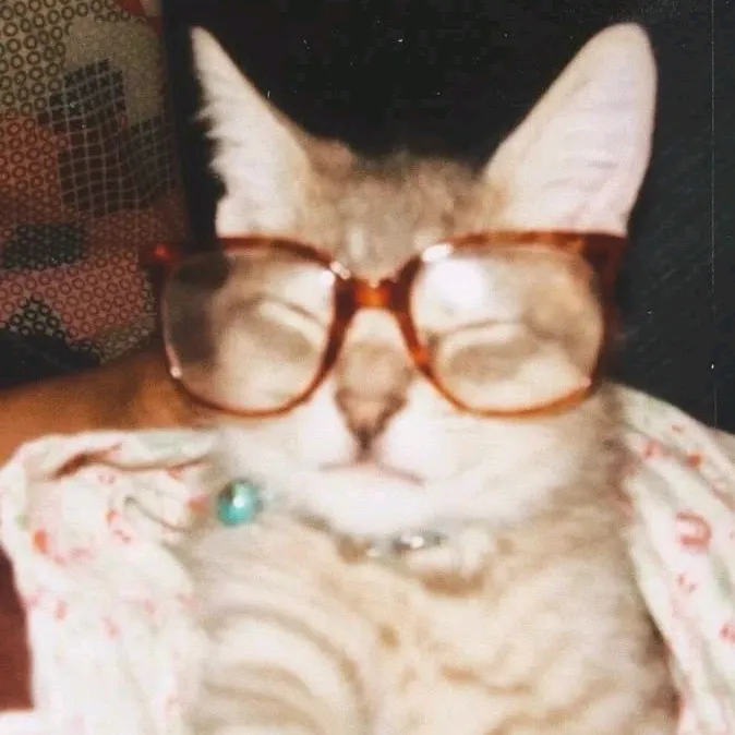 ✩‧₊nananavt𓇼✩‧₊˚