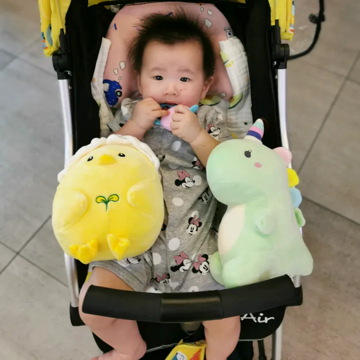 NiuNiu Baby
