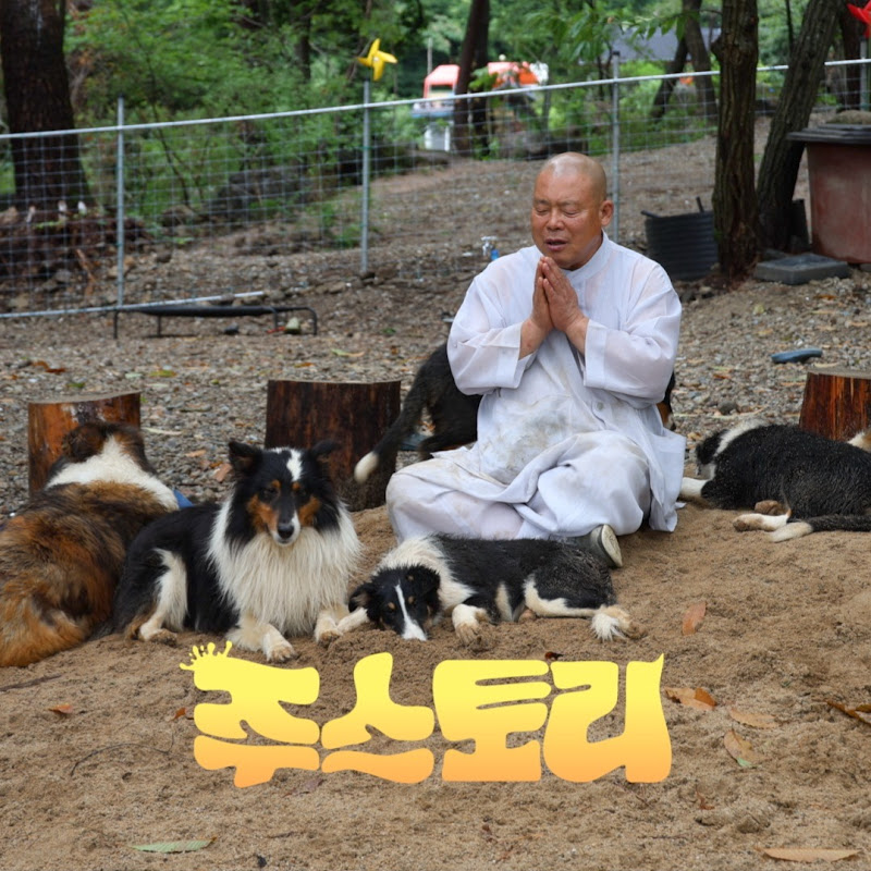 주스토리 Zoo'story : 사랑스러운 동물 이야기