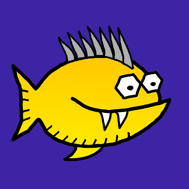 Punkfish Diving - Punkfish Academy
