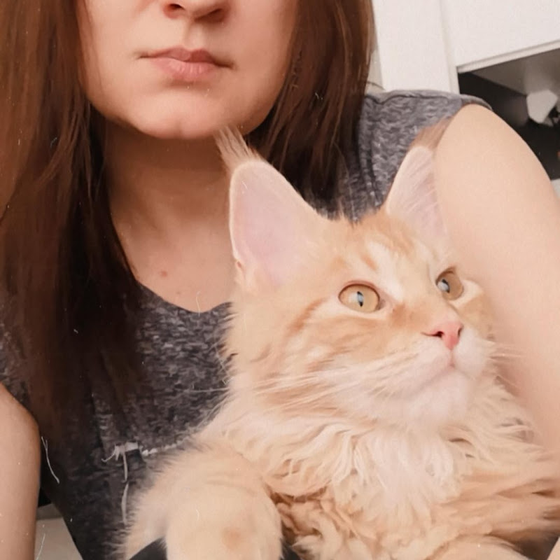 Life with Maine Coons