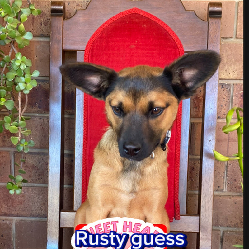Rusty 