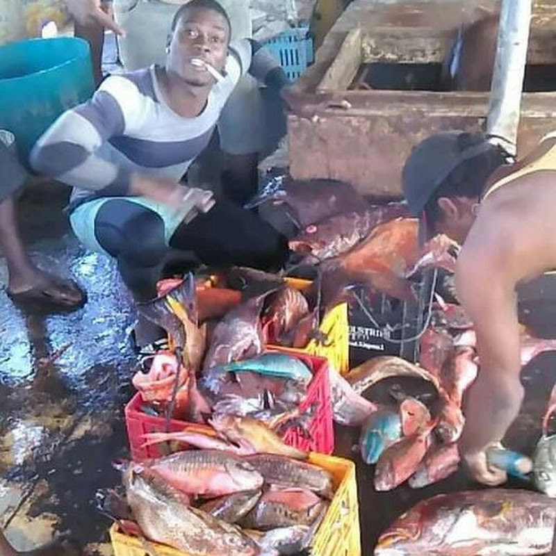 oil boss spearfishing