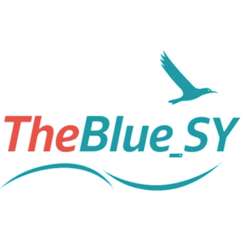 The Blue_SY