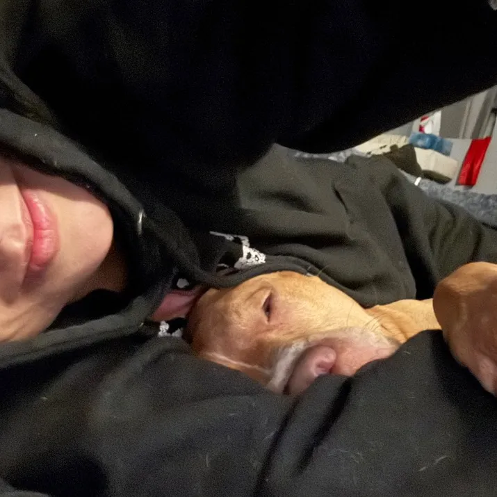 Nash&Kash