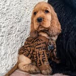 Channy & Sherly family ✨