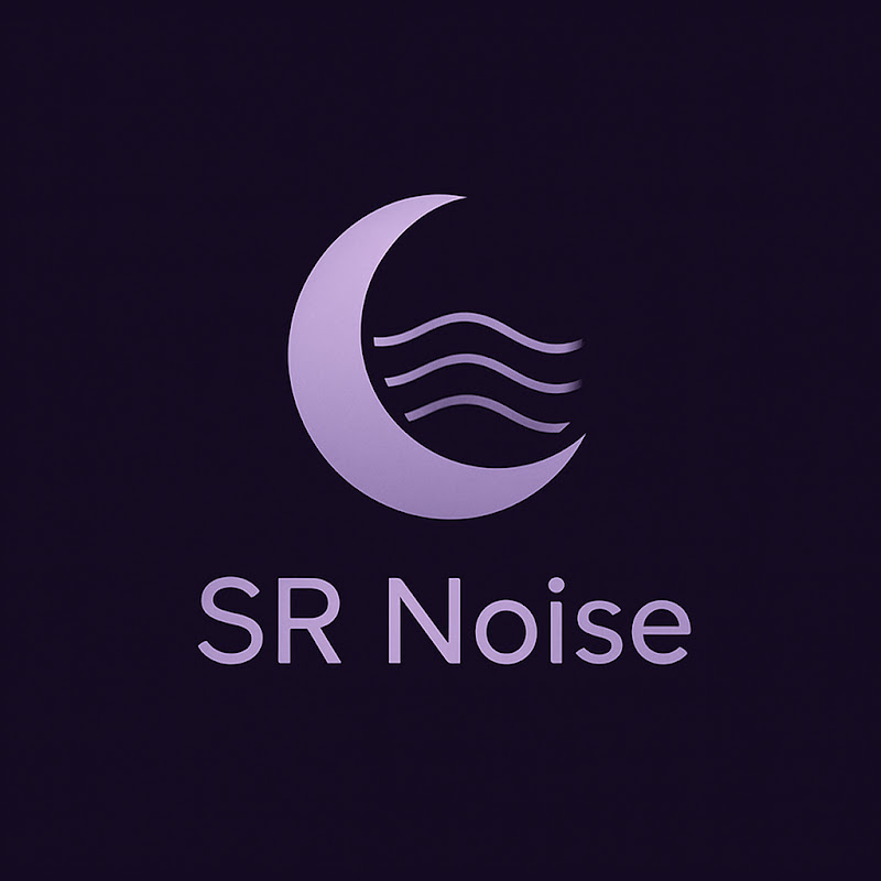  SR Noise